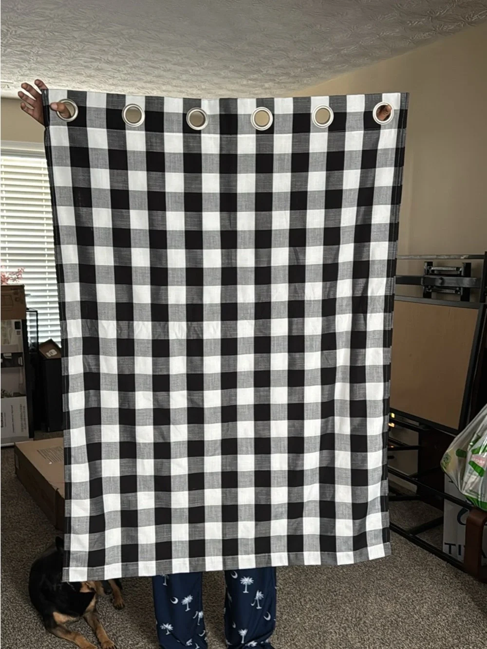 Black and White Checkered Window Treatment
